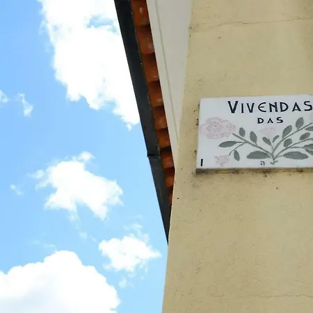 Kame House Tatil Evi